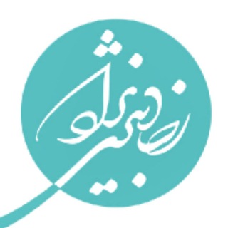 Telegram profile photo for رضا دبیری نژاد
