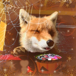 Telegram profile photo for Running Away (spooky 🎃💀)