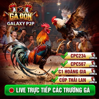 Telegram profile photo for Gà Đòn Việt - Thái