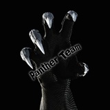 Telegram profile photo for Panther Team