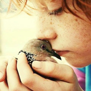 Telegram profile photo for Animal lovers
