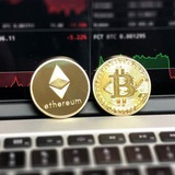 Telegram profile photo for CryptoSignals