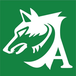 Telegram profile photo for TuttoAvellino.it