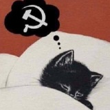 Telegram profile photo for НАН ҰРСЫН.