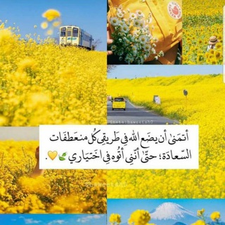 Telegram profile photo for هـﻧﺂ ﻧﺑدآ ۆﺑﺂﻟجـﻧـة نـلتقي