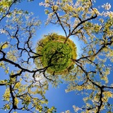 Telegram profile photo for Ната Смирнова фотограф цветы растения природа