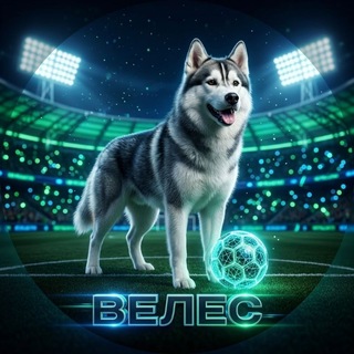 Telegram profile photo for ВЕЛЕС диктовки матчей