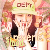 Telegram profile photo for 𖥻 🔒₊ reverie flood ๋ ₊