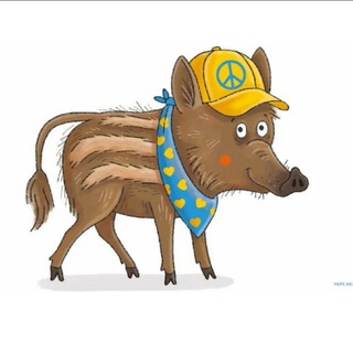 Telegram profile photo for Так говорит ЦИПСО️