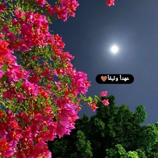 Telegram profile photo for عهداً وثيقا
