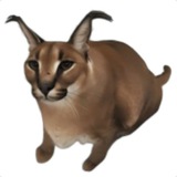 Telegram profile photo for Floppa Cat