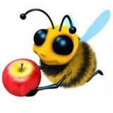 Telegram profile photo for where