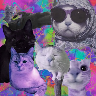 Telegram profile photo for Ассоциация Либертарианских Котиков (АЛК)🪽