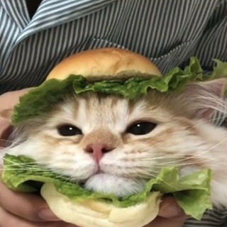 Telegram profile photo for Ураа Кристаликс