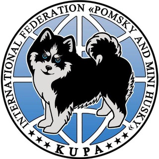 Telegram profile photo for Помски - Мини-Хаски - Pomsky - Mini Husky
