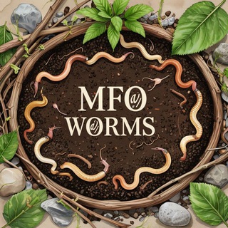 Telegram profile photo for МФО ЧЕРВИ