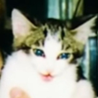 Telegram profile photo for Mihel-Music