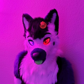 Telegram profile photo for Velle/Ruger AD fun