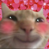 Telegram profile photo for kelpostt