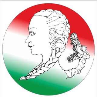 Telegram profile photo for Tutela Costituzionale