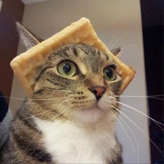 Telegram profile photo for CryptoBarsik