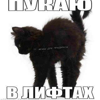 Telegram profile photo for адопты ветти(人*´∀`)。*゚+