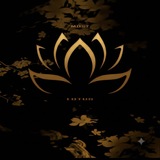 Telegram profile photo for Most Lotu$ | Mix Archive