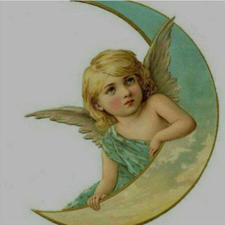 Telegram profile photo for 🌹🌛ماه پیشونی🌜🌹