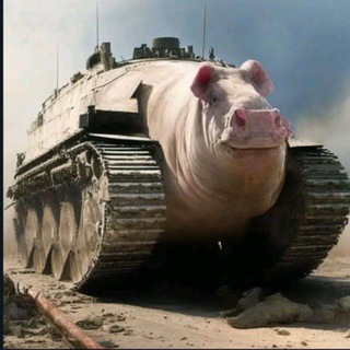 Telegram group profile photo for чат троллей / trolling chat (клуб фанатов дядюшки эпштейна)