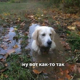 Telegram profile photo for Исповедь девоПса