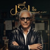 Telegram profile photo for شاه گل