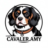 Telegram profile photo for Cavaler.AMY/амуниция ручной работы||Воронеж