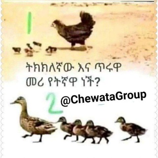 Telegram profile photo for Ethio IQ ጨዋታ