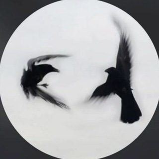 Telegram profile photo for 𝐭𝐞𝐱𝐭.𝐫𝐩𝐡