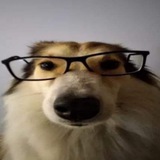 Telegram profile photo for Берлога очкарика