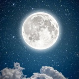 Telegram profile photo for دينـي