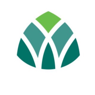 Telegram profile photo for أمانة منطقة المدينة المنورة