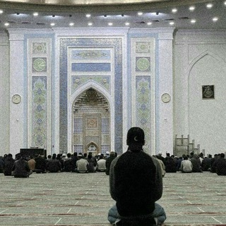 Telegram profile photo for ݺ،مؤيد، .