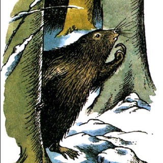 Telegram profile photo for бобер або бібр, тільки дуже маленький