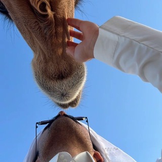 Telegram profile photo for الدُوسري