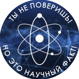 Telegram profile photo for Ты не поверишь