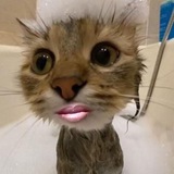 Telegram profile photo for Opportunity Guru