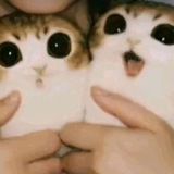 Telegram profile photo for щᴨ глистяры| Мᴇня дᴇᴩжᴀᴛ ʙ ɜᴀᴧᴏжниᴋᴀх