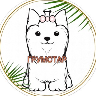 Telegram profile photo for Грумстар зоосалон