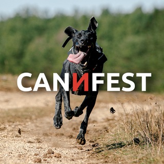 Telegram profile photo for CANИFEST