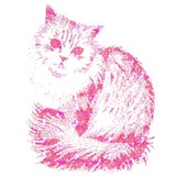 Telegram profile photo for линка сучий дырокол