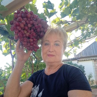 Telegram profile photo for 🌺 Любовь Назарова