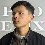 Telegram profile photo for Phoenix