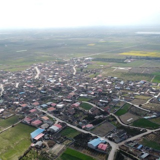 Telegram profile photo for برگه