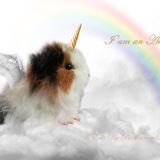 Telegram profile photo for лучше звоните киоке